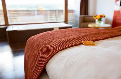 Lake Pressegger Hotel | Deluxe Suite with Eagle's Nest - Alpen Adria Hotel & Spa