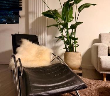 Aarschot Bed & Breakfast | Demerzicht