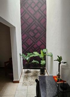 San Antonio de la Cal Apartment | Depa Púrpura Caracol