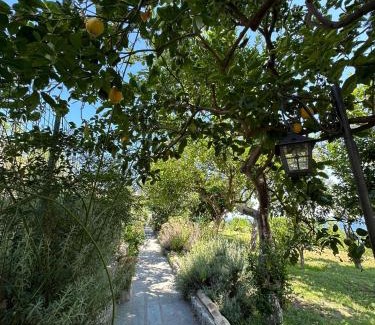 Marina Grande House | Depandance Casa Paolina