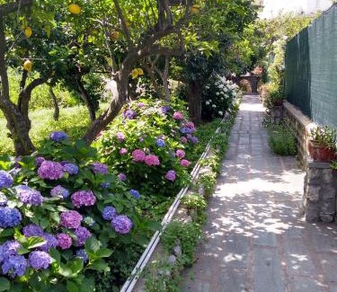 Marina Grande House | Depandance Casa Paolina