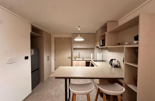 Santiago Apartment | Departamento ñuñoa 2 d 2 b