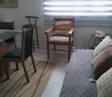 Yerbas Buenas Apartment | Departamento central