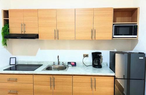 Guadalupe Apartment | Departamento con terraza y asador