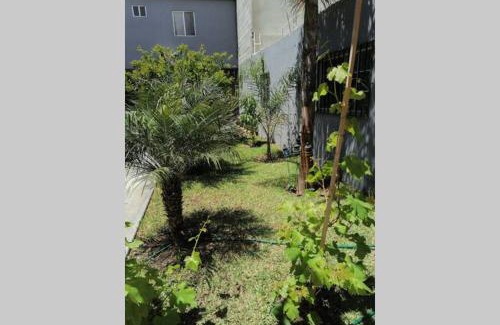 Constitucion Apartment | Departamento las palmas