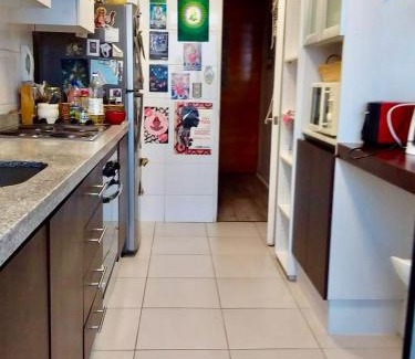 Santiago Apartment | Departamento luminoso a pasos del Barrio Italia con vista a la cordillera