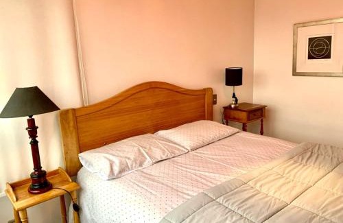 Santiago Apartment | Departamento luminoso a pasos del Barrio Italia con vista a la cordillera