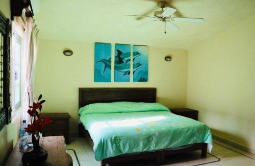 Ixtapa Apartment | DEPARTAMENTO PELICANOS IXTAPA