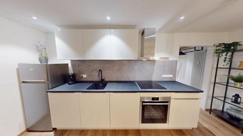 Freiburg im Breisgau Apartment | Der Platzhirsch - Design-Apartment in grüner Oase