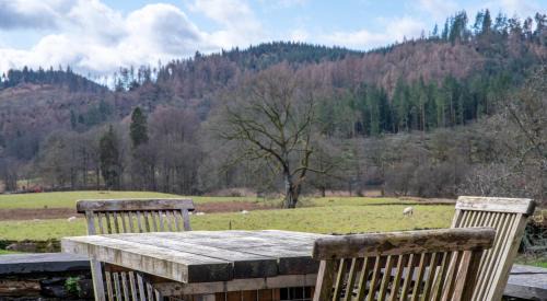 Near Sawrey House | Derwentwater