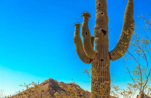 Foothills House | Desert Foothills