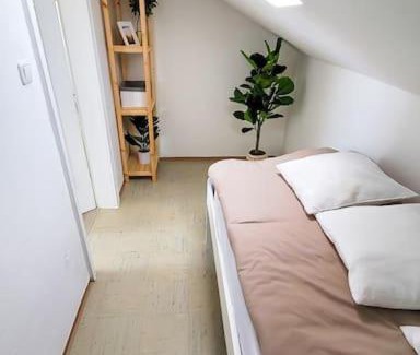 Freilassing Apartment | DG R: Helle 40m² 2-Zimmer Wohnung nähe Salzburg