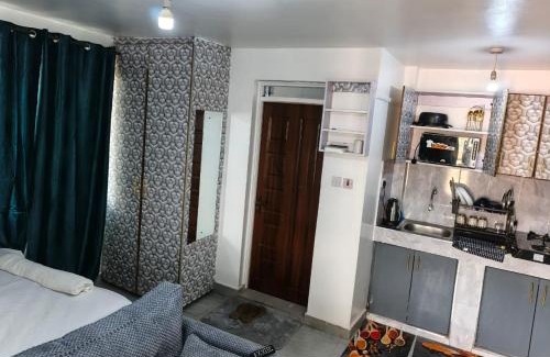 Kasarani Bed & Breakfast | Diamond in the sky apartment