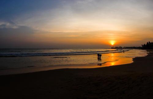 Dickwella Hotel | Dickwella Beach