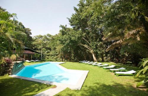 Arusha Hotel | Dik Dik Hotel