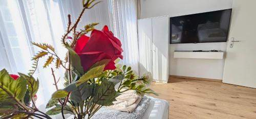 Oberhausen Apartment | Dimi Living Oberhausen & mit Küche
