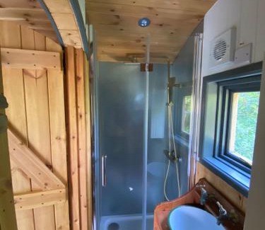 Liverton Apartment | Dingle Glenn secluded woodland cabin