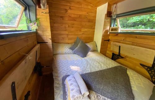 Liverton Apartment | Dingle Glenn secluded woodland cabin