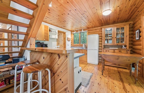 Lion's Head Cabin | Disconnect from it all at Stonewood, a cozy log chalet nestled in cedar forest on Georgian Bay. Enjoy a private shoreline, wraparound deck, wood stove, and access to kayaks, and trails. Peace, comfort, and adventure await in Cape Chin South.