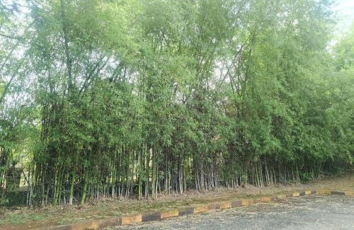 Karjat Apartment | Divyadhan Bliss Resort Karjat