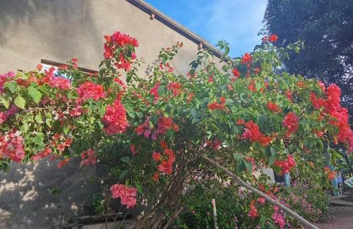 San Bernardo del Viento House | DLuchy Casa Finca Rural cerca al mar
