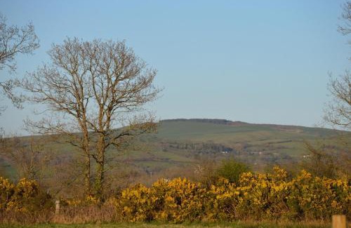 Ciliau-Aeron House | Dog friendly rural location