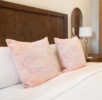 Downtown Knoxville Apartment | Dollys Downtown Loft Knoxville