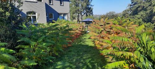Ave et Auffe House | Domaine "Le Ry d'Ave"