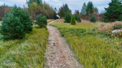 Pohja-Parnumaa Parish House | Dome house expierence near the river with free sauna