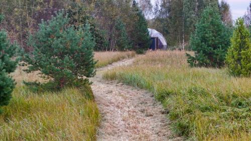 Pohja-Parnumaa Parish House | Dome house expierence near the river with free sauna