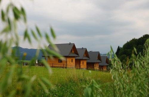 Grywałd Cabin | Domki u Huberta
