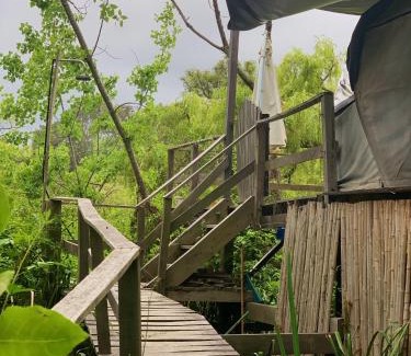 Partido de Tigre House | Domo de la Selva Tigre
