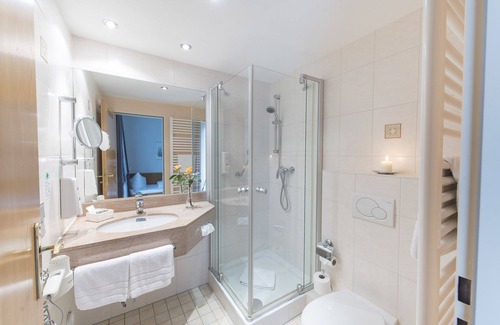 Bad Soden-Salmuenster Apartment | Doppelzimmer Economy mit Dusche und WC