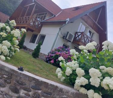 Cartisoara House | Dor de Munte Transfăgarasan