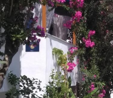 Old Town Naxos Hotel | Doron Hotel Delfini