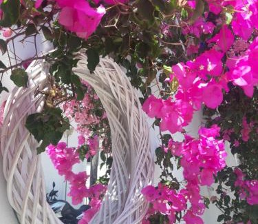 Old Town Naxos Hotel | Doron Hotel Delfini