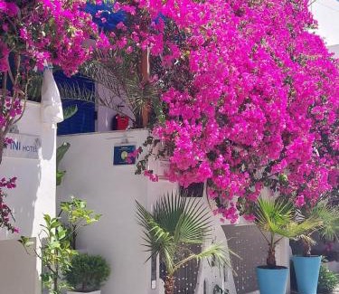 Old Town Naxos Hotel | Doron Hotel Delfini