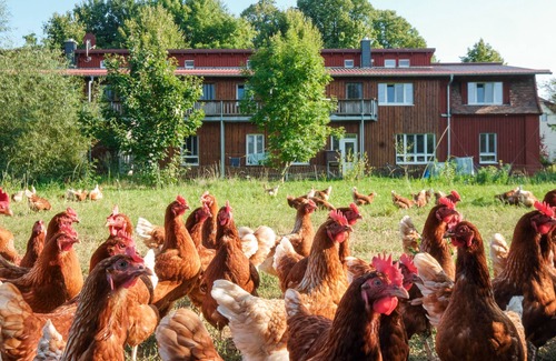 Schwerin Apartment | Double Room 2 - Blue - Holiday on the organic farm