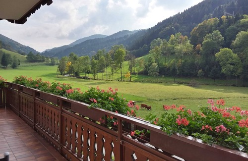 Elzach Apartment | Double room 2 with toilet and shower, 1 - 2 persons - Mosertonihof
