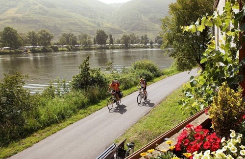 Senhals House | Double Room with Moselle View/Balcony - Hotel Weinhaus Halfenstube