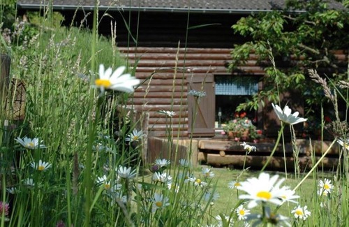 Hasenfeld Apartment | Double Room with Shared Bathroom - Haus Diefenbach, Pension Ferienwohnungen