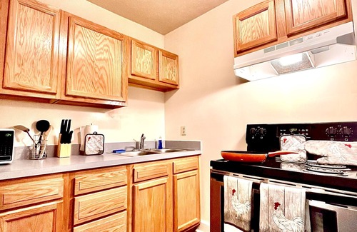 Shelby Park Apartment | DOWNTOWN 2 BEDROOM OUTRÉ FLAT