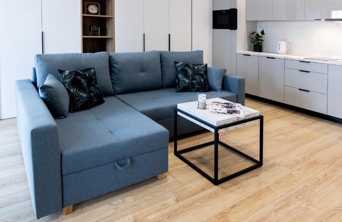 Katowice Apartment | Downtown Apartments ,next to Spodek-free parking