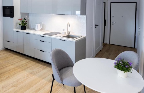 Katowice Apartment | Downtown Apartments ,next to Spodek-free parking
