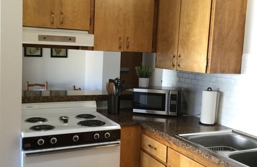 Sitka Apartment | Downtown Apt.12 w/ Russian Church & Mountain Views