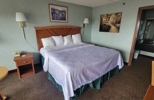 Downtown Asheville Hotel | Downtown Inn #3- King Room