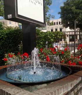 Asheville Hotel | Downtown Inn