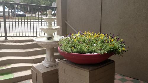 Asheville Hotel | Downtown Inn