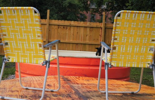 Tupelo House | DOWNTOWN/PET FRIENDLY- Hound Dog Bungalow by Heart Break Hotel -2br/1b