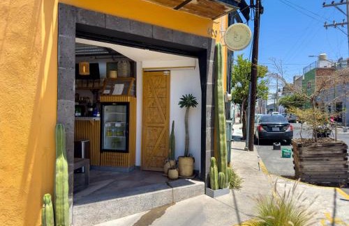 Guadalajara Apartment | Dowtown lofts by flor y tierra
